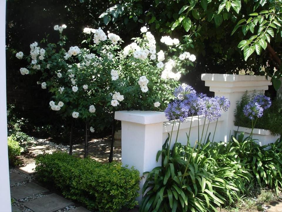 Oxnead Guesthouse Pretoria-Noord Dış mekan fotoğraf